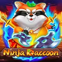 Ninja Raccoon