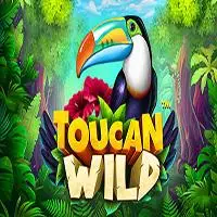 Toucan Wild